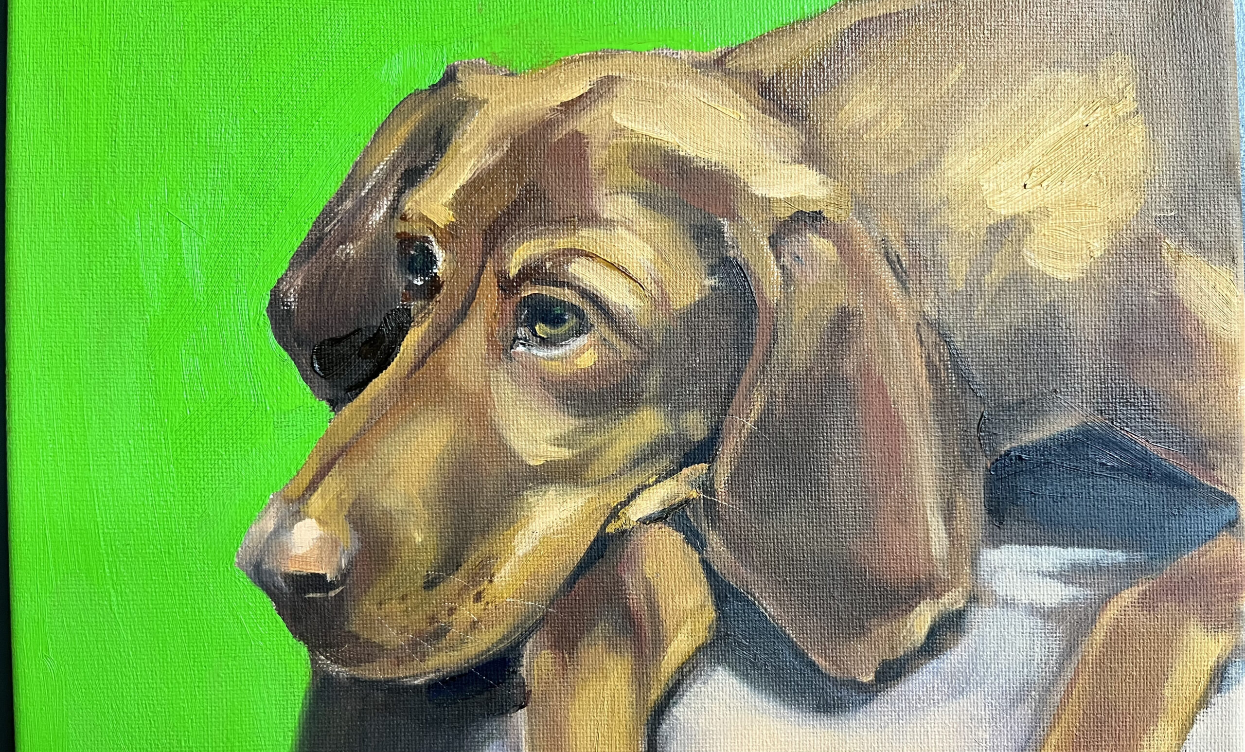 Mairohelisel foonil koera portree