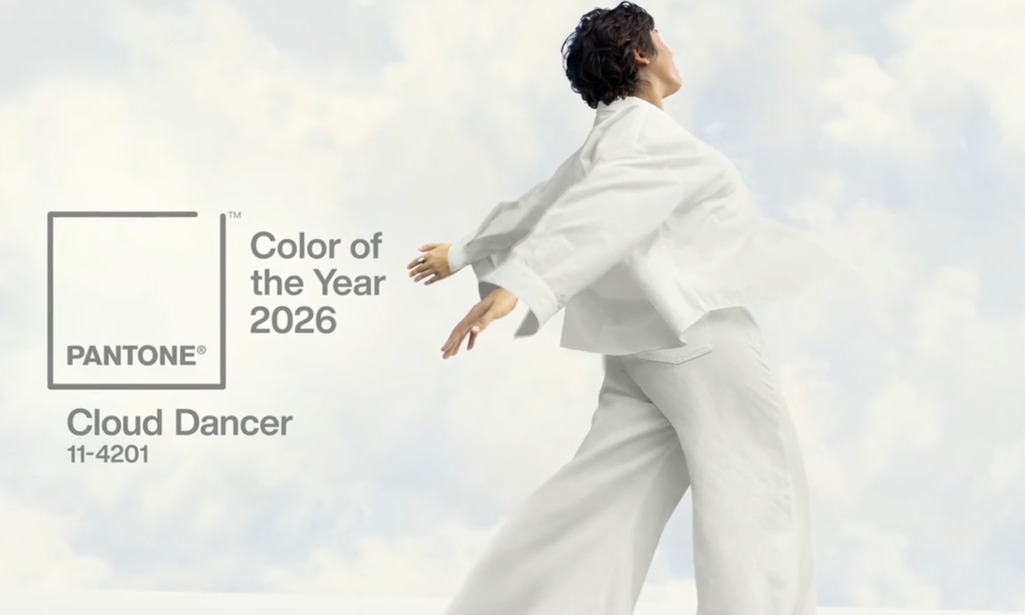 Pantone 2026 aasta värv bänner